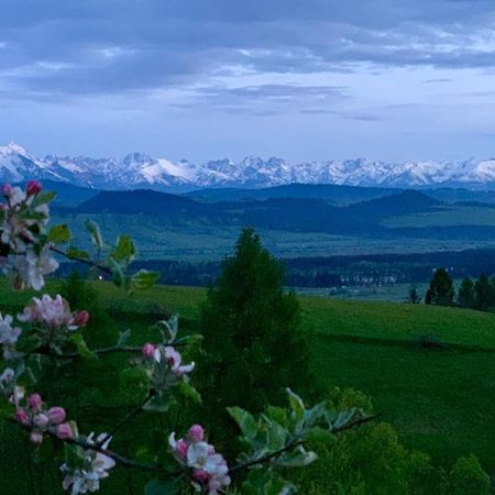 Koza U Woza Wypocznij W Gorach W Rytmie Slow Drewniany Dom Premium Z Widokiem Na Panorame Tatr Ecospa Strefa Fitness Zielona Farma Warsztaty (Adults Only) Szlembark エクステリア 写真