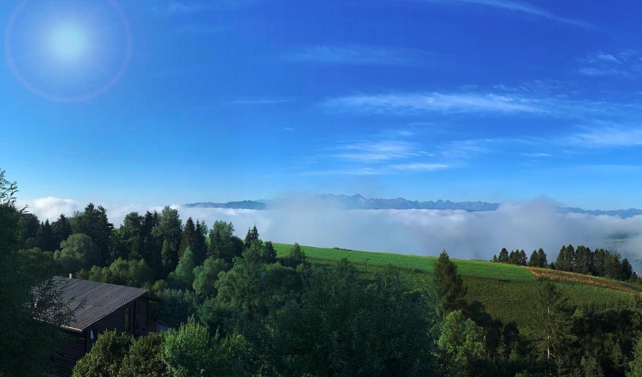 Koza U Woza Wypocznij W Gorach W Rytmie Slow Drewniany Dom Premium Z Widokiem Na Panorame Tatr Ecospa Strefa Fitness Zielona Farma Warsztaty (Adults Only) Szlembark エクステリア 写真