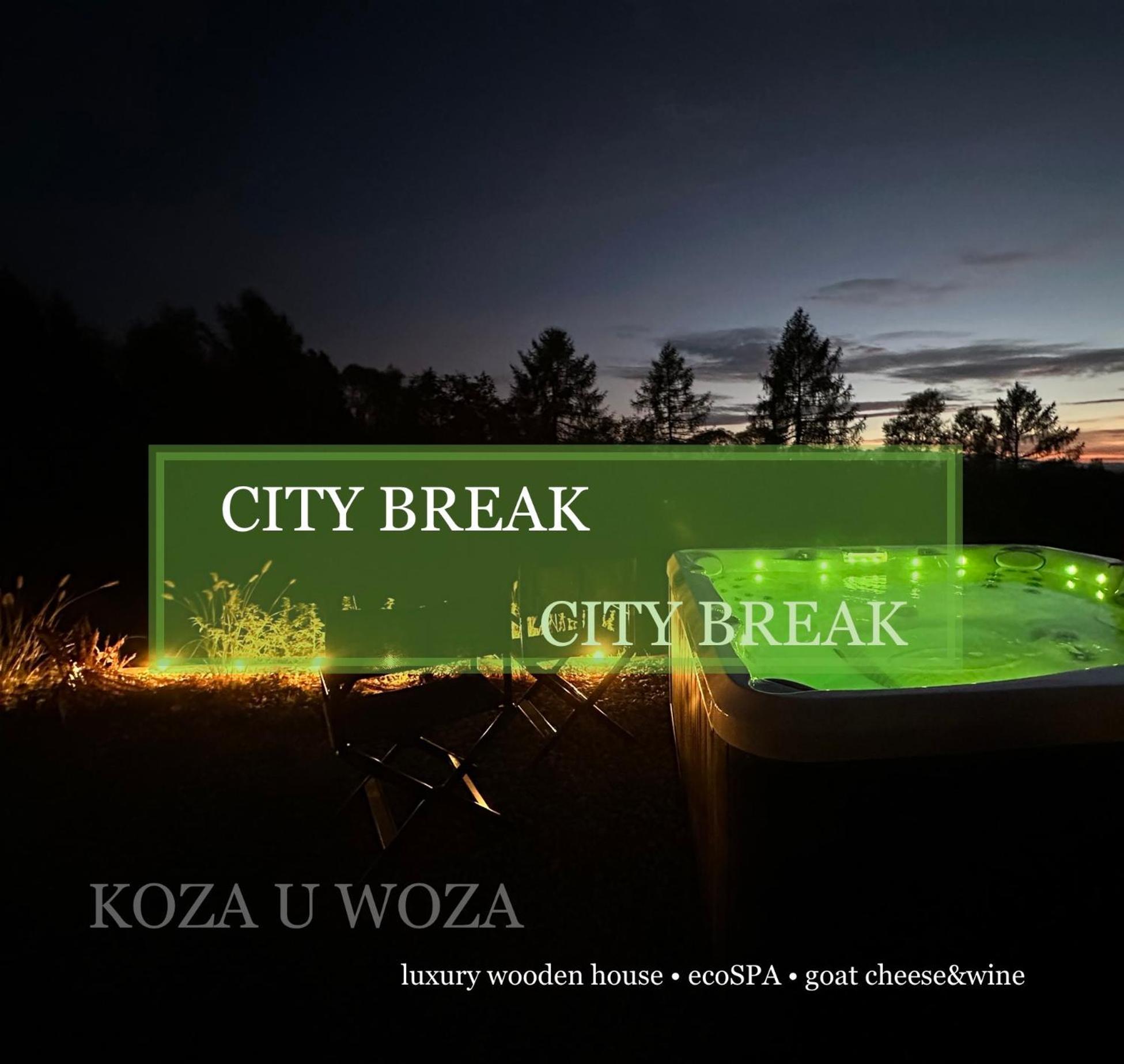 Koza U Woza Wypocznij W Gorach W Rytmie Slow Drewniany Dom Premium Z Widokiem Na Panorame Tatr Ecospa Strefa Fitness Zielona Farma Warsztaty (Adults Only) Szlembark エクステリア 写真