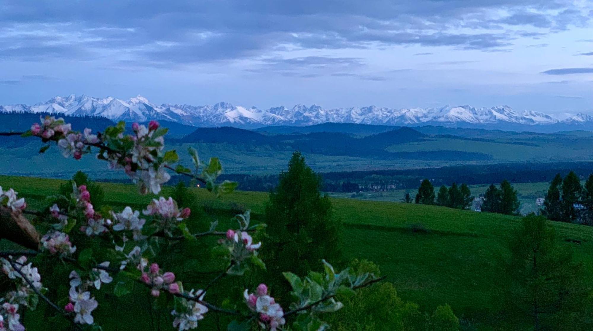 Koza U Woza Wypocznij W Gorach W Rytmie Slow Drewniany Dom Premium Z Widokiem Na Panorame Tatr Ecospa Strefa Fitness Zielona Farma Warsztaty (Adults Only) Szlembark エクステリア 写真