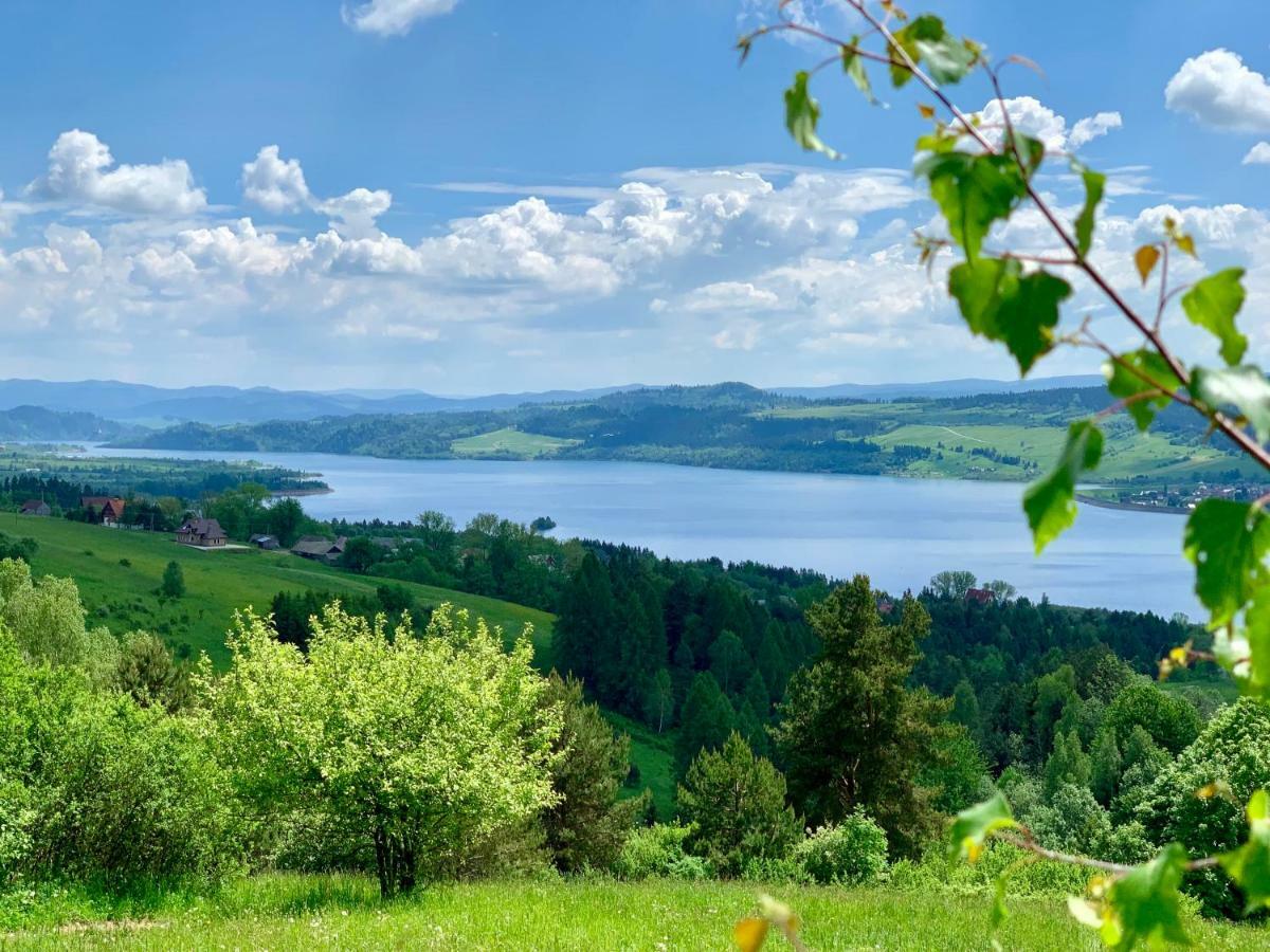 Koza U Woza Wypocznij W Gorach W Rytmie Slow Drewniany Dom Premium Z Widokiem Na Panorame Tatr Ecospa Strefa Fitness Zielona Farma Warsztaty (Adults Only) Szlembark エクステリア 写真